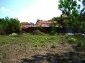 The garden