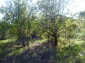Lands for sale near Pleven