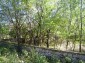 A stone fence
