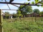 A garden