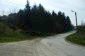 The road