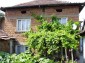 The house
