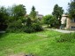 The garden