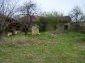 The garden