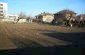 the garden