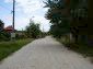 The road