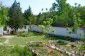 the garden