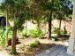 the garden