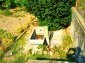 the garden