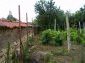 the garden