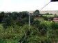 Garden 2