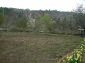 the yard