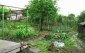 The garden