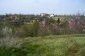 The yard