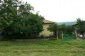 the garden