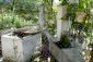 A well