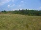 The land