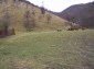 The land