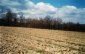 Lands for sale near Lovech