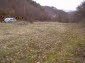 The land