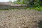 the garden