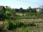 the yard