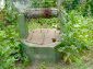 the well