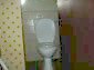 the toilet