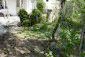 The garden