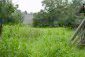 The garden