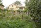 The garden