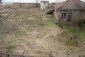 The garden