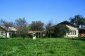 The garden