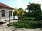 The garden