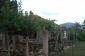 The estate