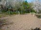 the garden