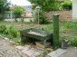the garden