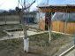 The garden