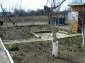 The garden