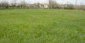 The plot of land