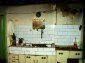 the kitchen