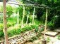 the yard
