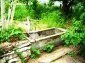 the garden