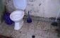 the toilet