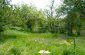 the yard