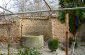 the garden
