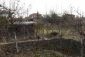 The garden
