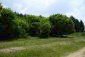 A dirt road