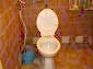 the toilet