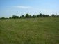 The land